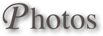                       P hotos